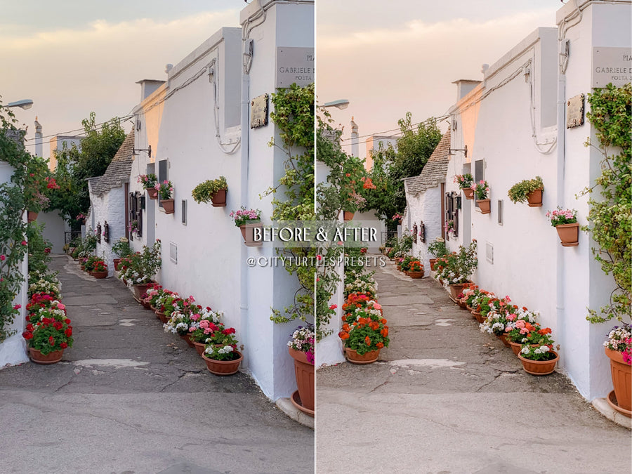 NO FILTER Natural Subtle Lightroom Presets - CT71