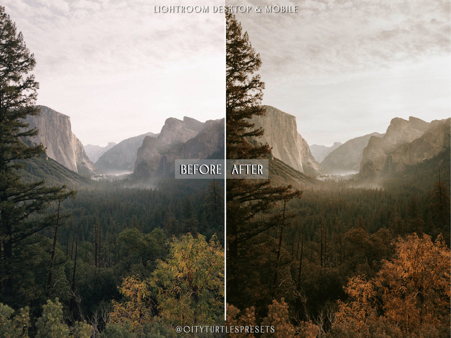 Pumpkin Spice Latte Lightroom Presets - CT72