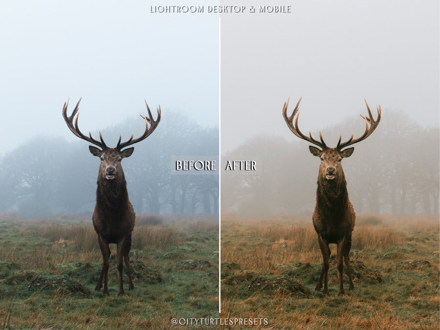 Pumpkin Spice Latte Lightroom Presets - CT72