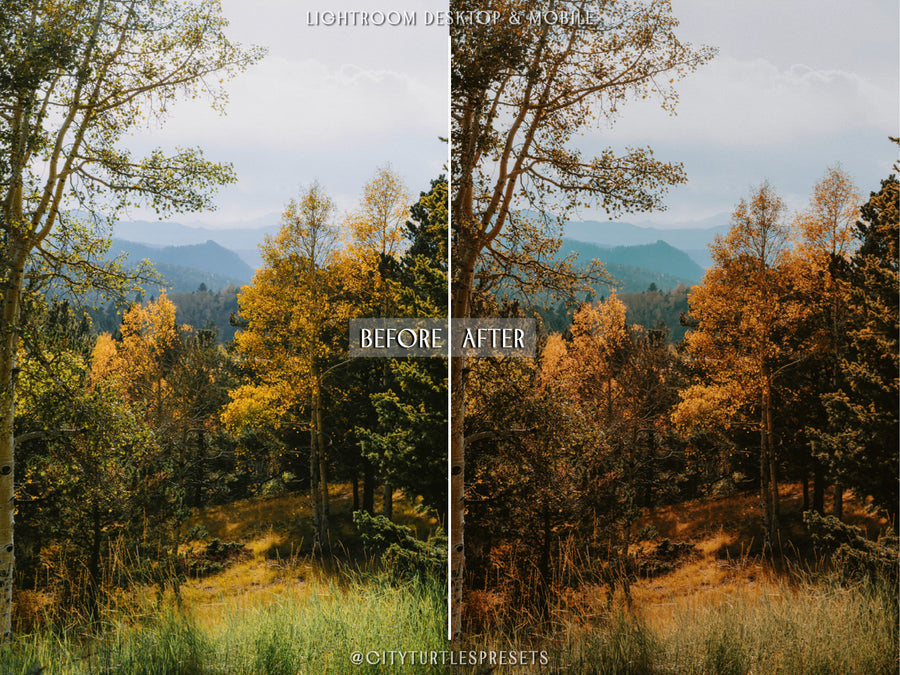 Pumpkin Spice Latte Lightroom Presets - CT72