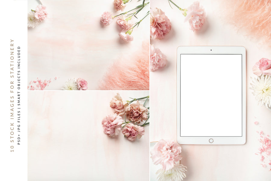 Carnation Blush Screen Mockups Collection | 10 Stock Images