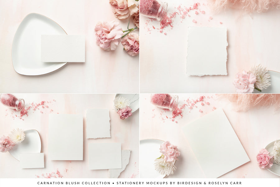 Carnation Blush Stationery Collection | 15 Stock Images