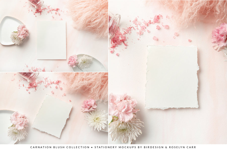 Carnation Blush Stationery Collection | 15 Stock Images