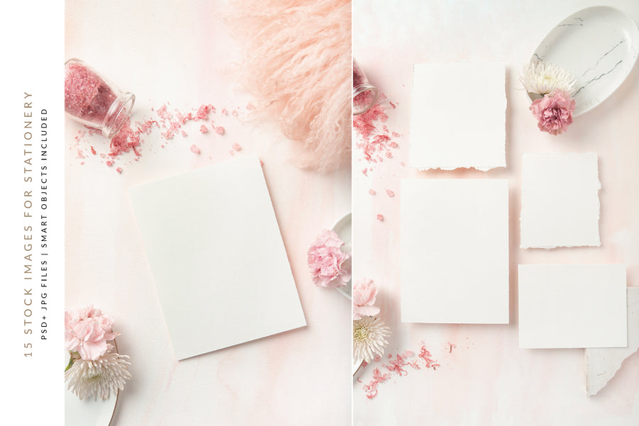 Carnation Blush Stationery Collection | 15 Stock Images