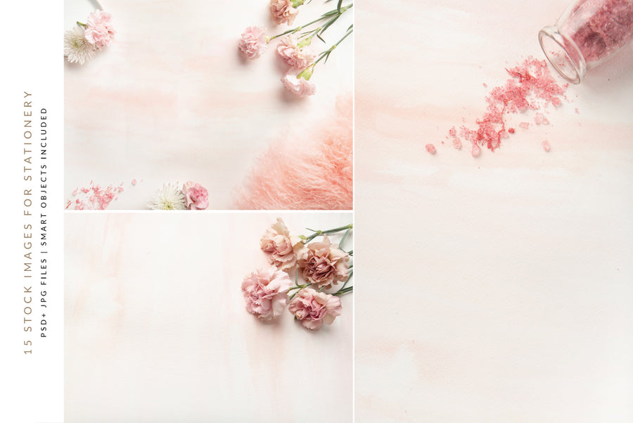 Carnation Blush Stationery Collection | 15 Stock Images