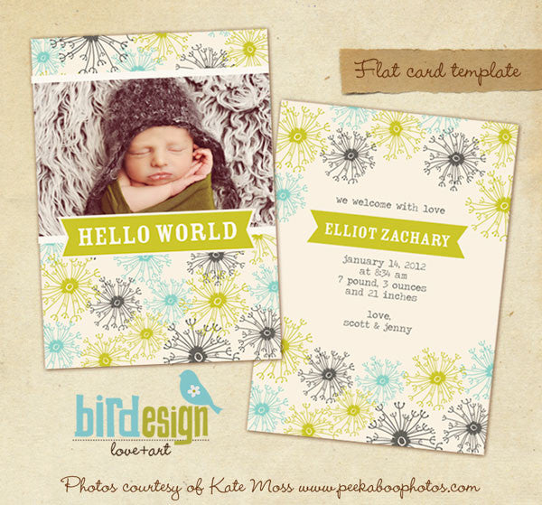 Birth Announcement | Dandelion