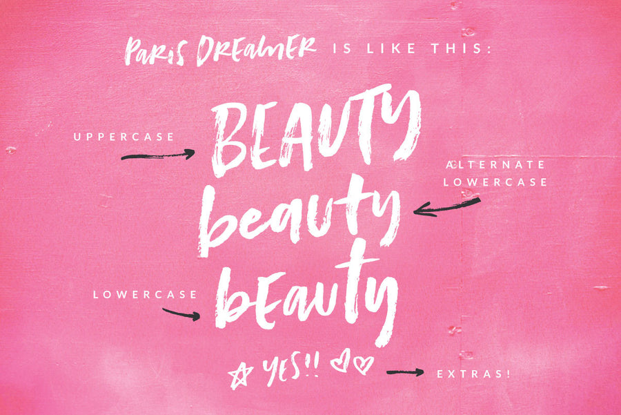 Paris Dreamer Script + Bonus font