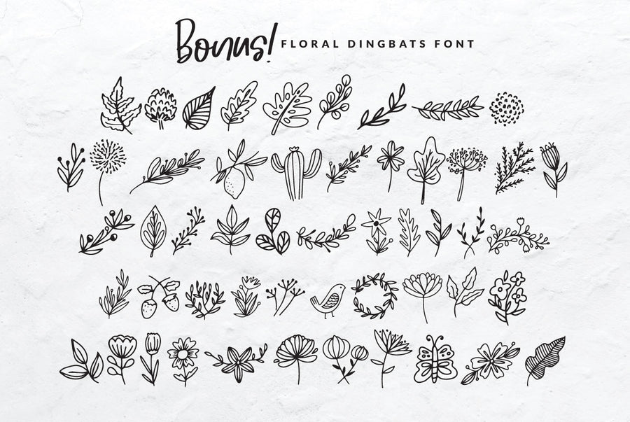 Sweet Hills Script Font + Dingbats