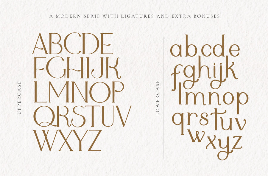 Adele Moon Serif Font