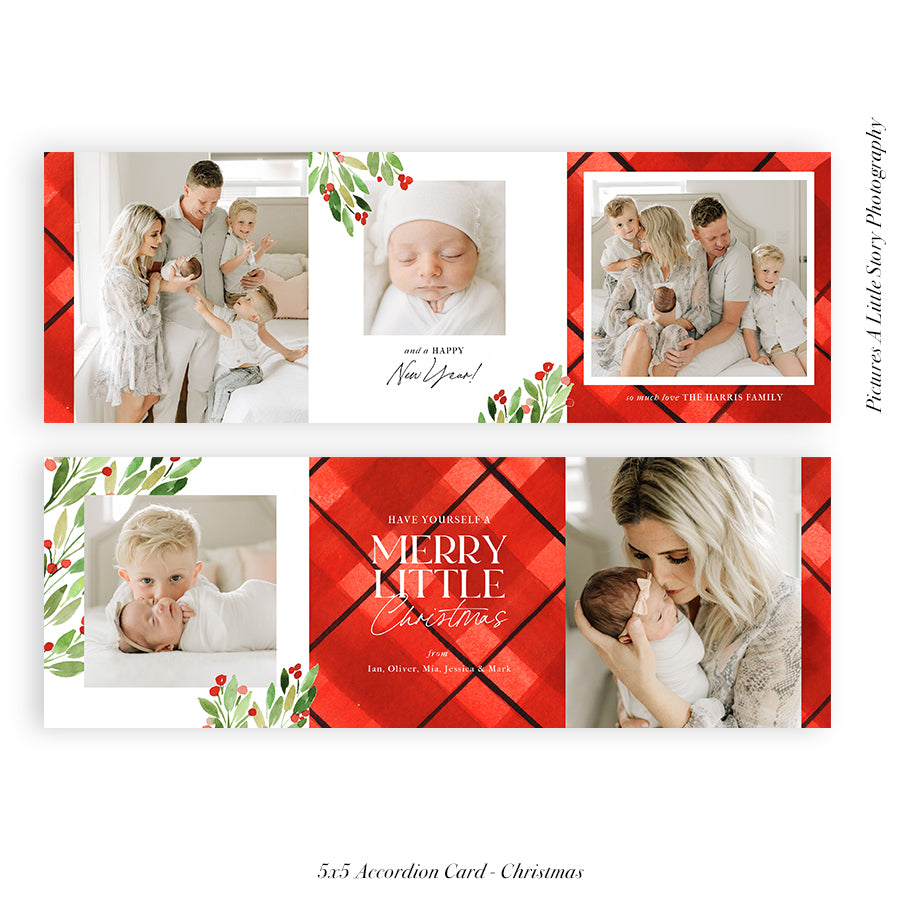 Christmas accordion card 5x5 (Trifolded) | Merry Forever