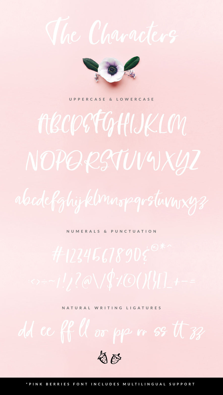 Pink Berries Script font