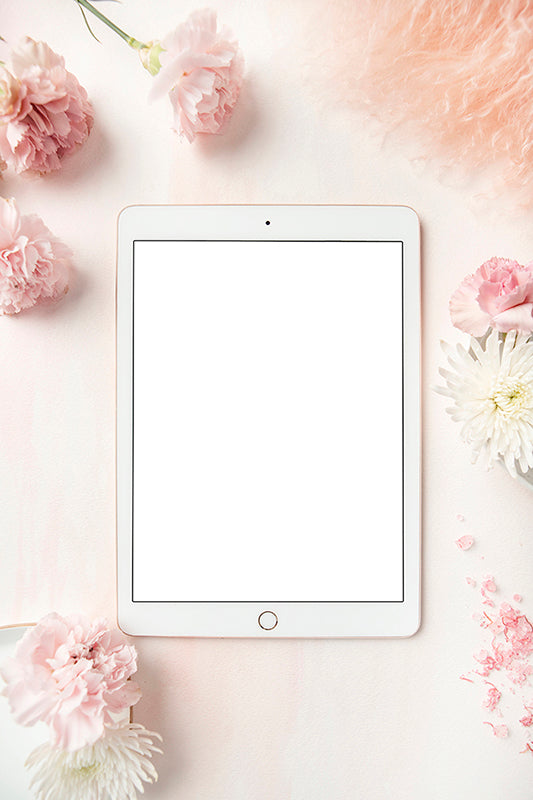 Carnation Blush Stock Image - Ipad 1