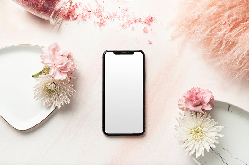 Carnation Blush Stock Image - Iphone 1