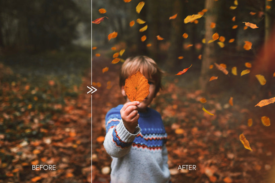 70 Natural Falling Autumn Leaves Photo Overlays