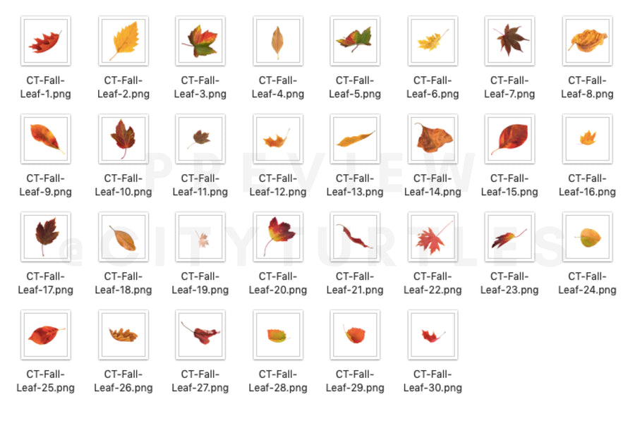 70 Natural Falling Autumn Leaves Photo Overlays