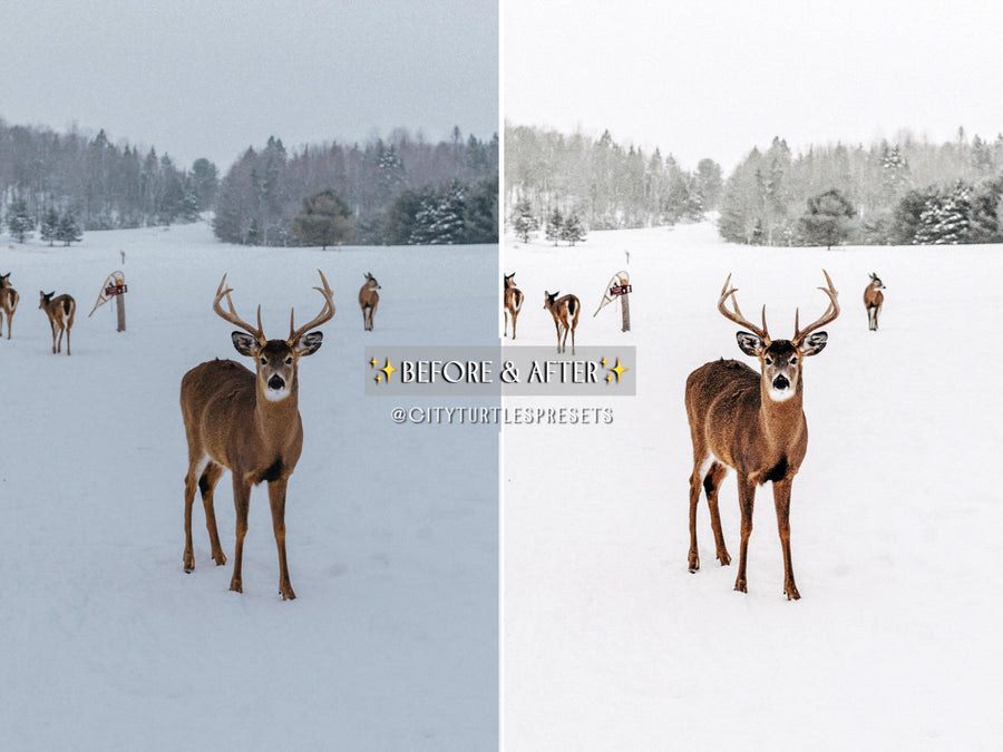 Bright Clean WINTER WHITES Holiday Lightroom Presets