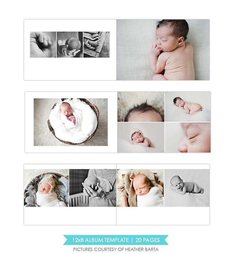 White luxury | 12x8 Album template