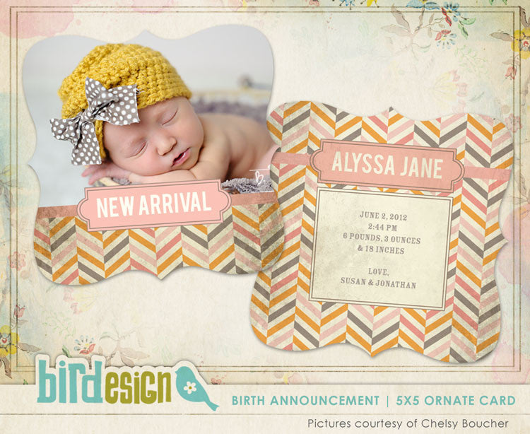 Birth Announcement | Vintage Chevron