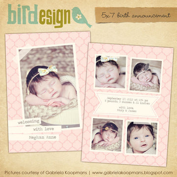 Birth Announcement | Love & Honey