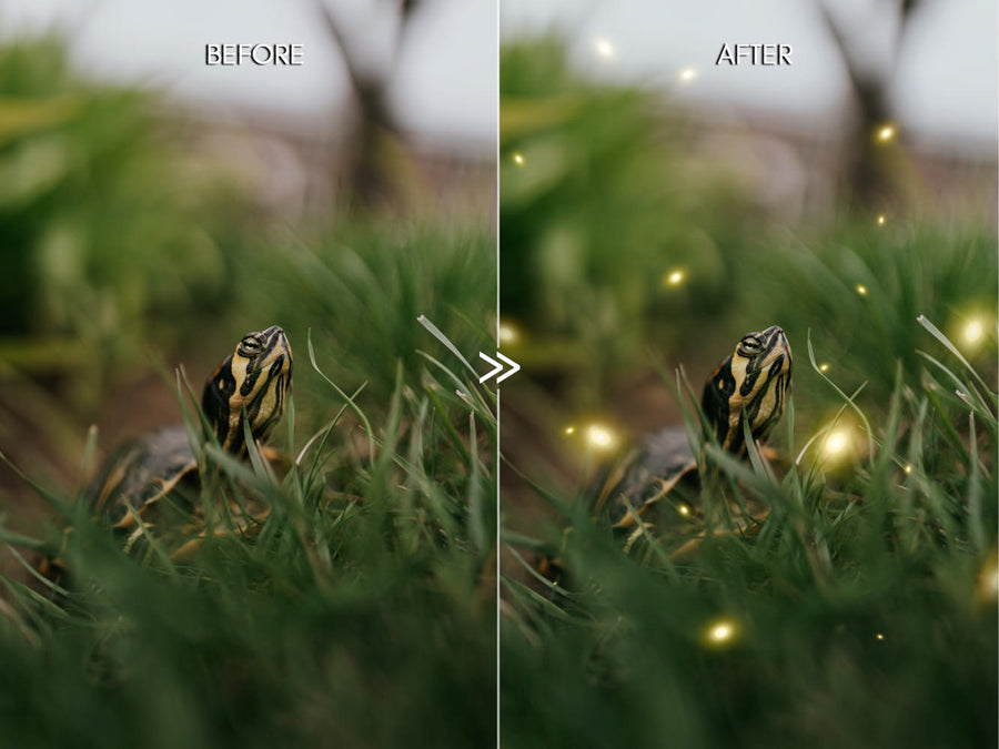 30 Dreamy Firefly Photo Overlays