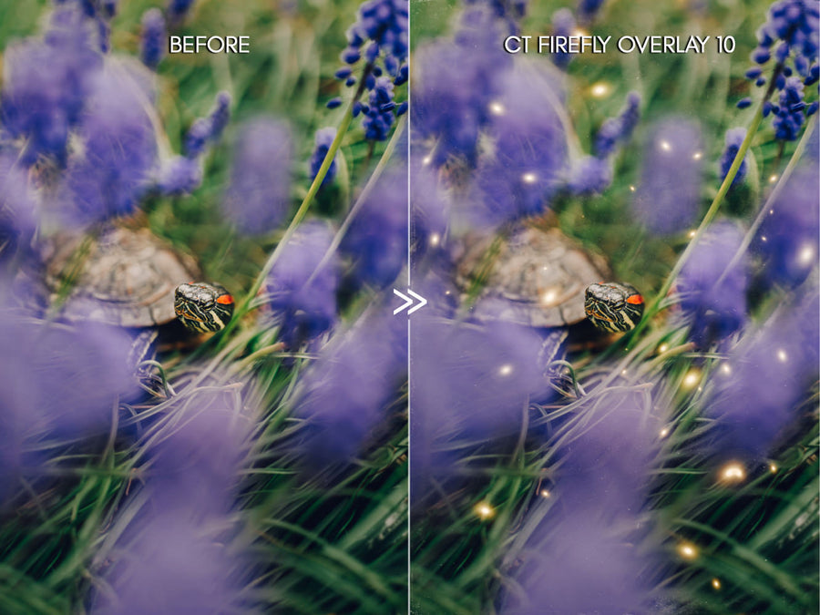 30 Dreamy Firefly Photo Overlays