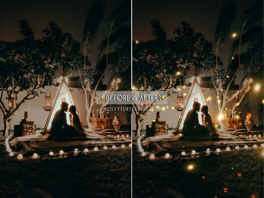 30 Dreamy Firefly Photo Overlays