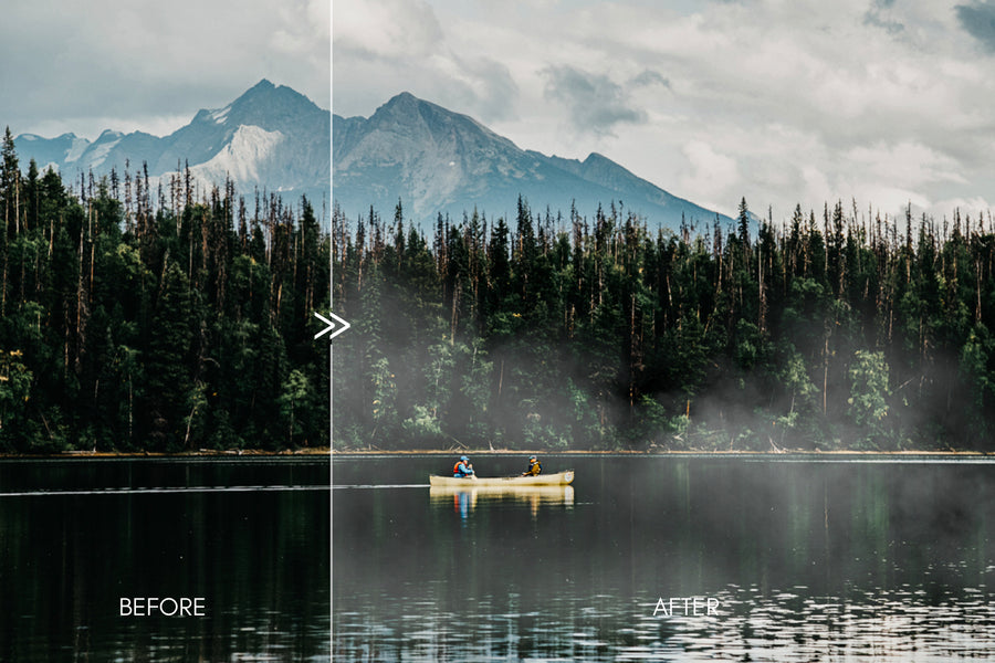 30 Real Fog & Mist Photo Overlays