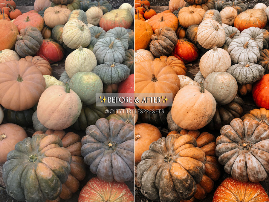 GOLDEN FALL Rustic Warm Lightroom Presets