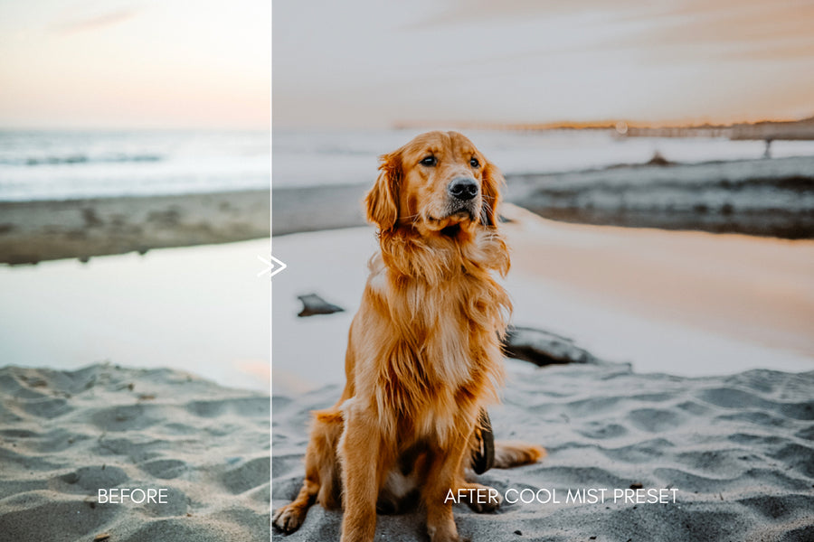 Moody Pet Photography GREAT OUTDOORS Lightroom Presets