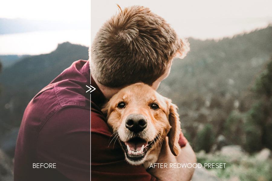 Moody Pet Photography GREAT OUTDOORS Lightroom Presets