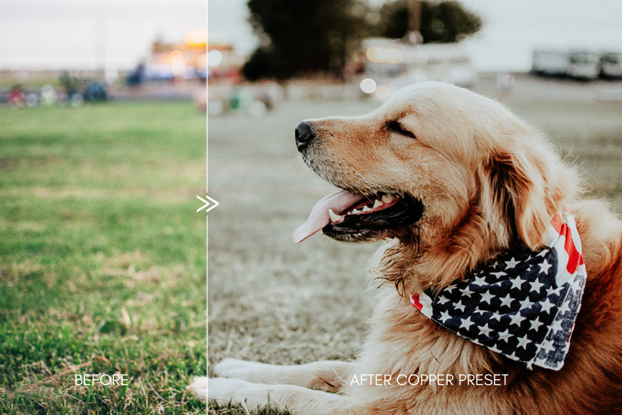 Moody Pet Photography GREAT OUTDOORS Lightroom Presets