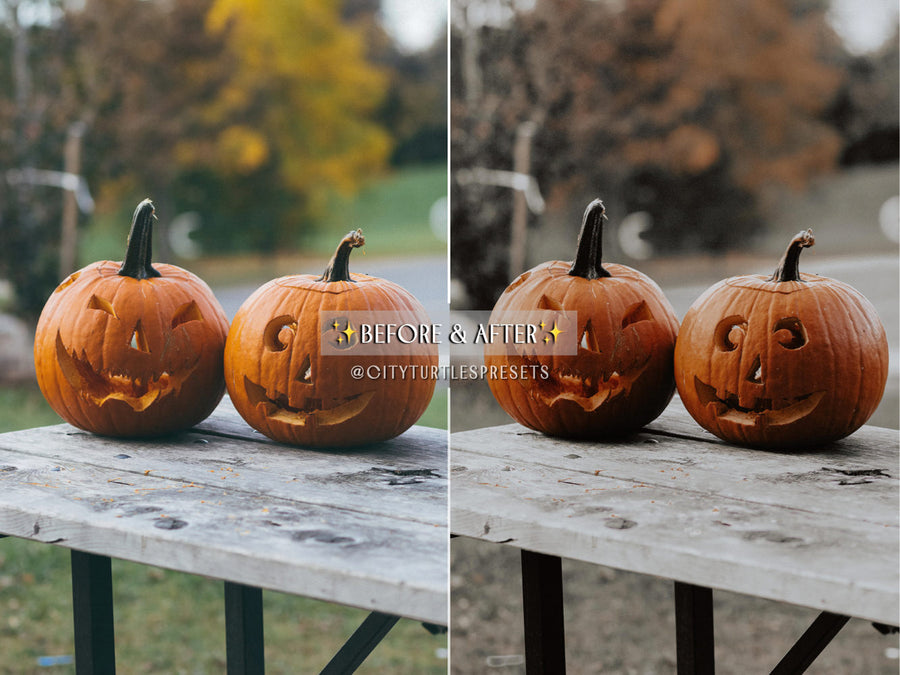 Moody Warm HALLOWEEN Lightroom Presets