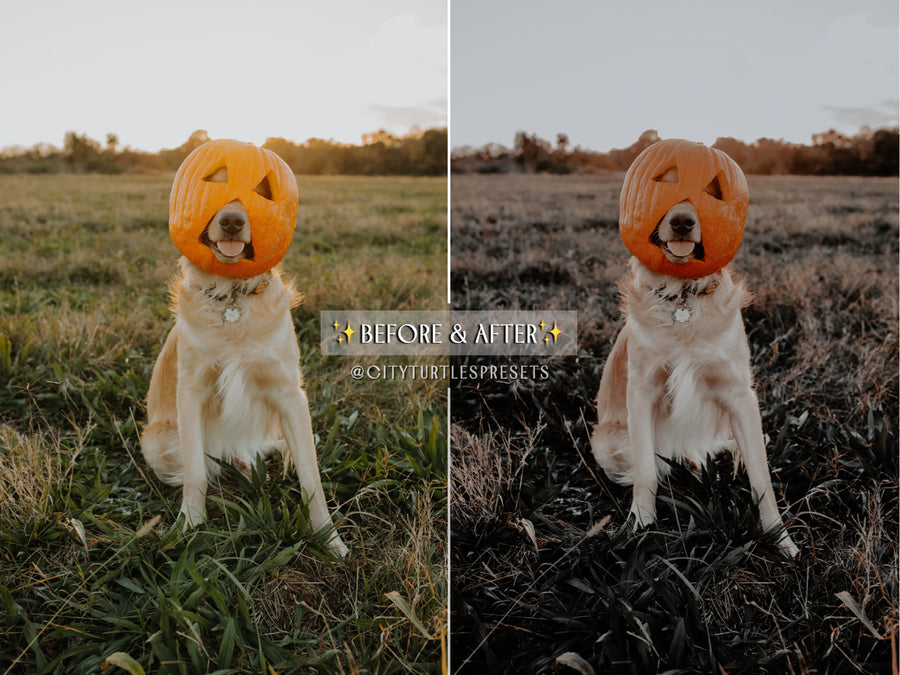 Moody Warm HALLOWEEN Lightroom Presets