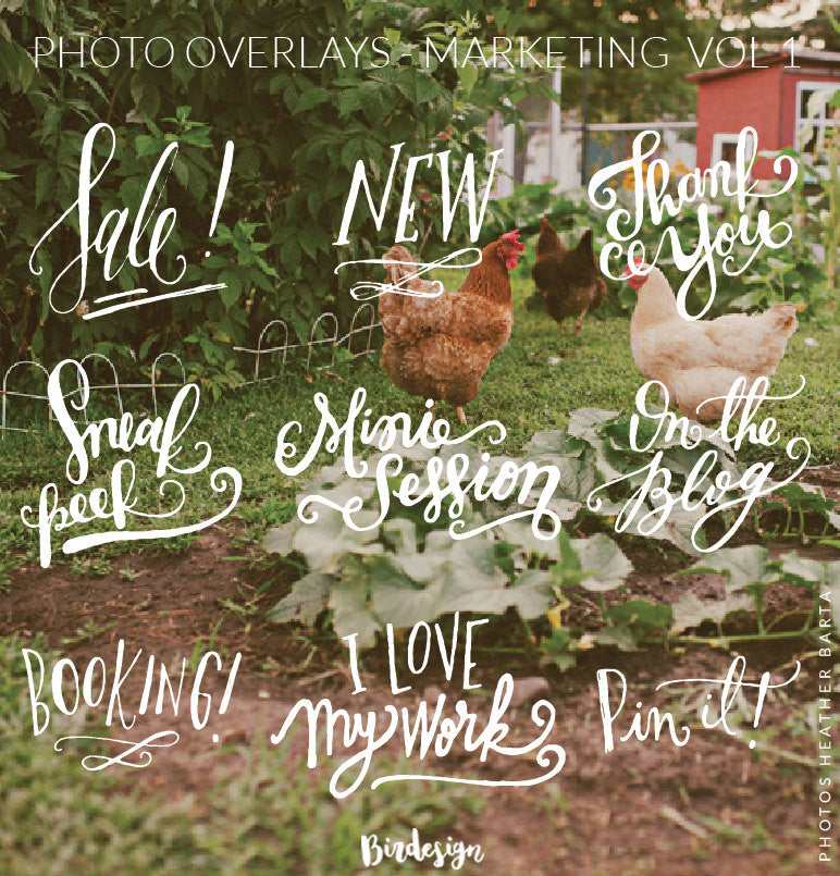 Photo Overlays | Marketing Vol. 1