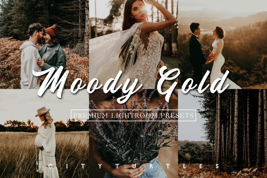 MOODY GOLD Outdoor Warm Rustic Portrait Wedding Lightroom Presets