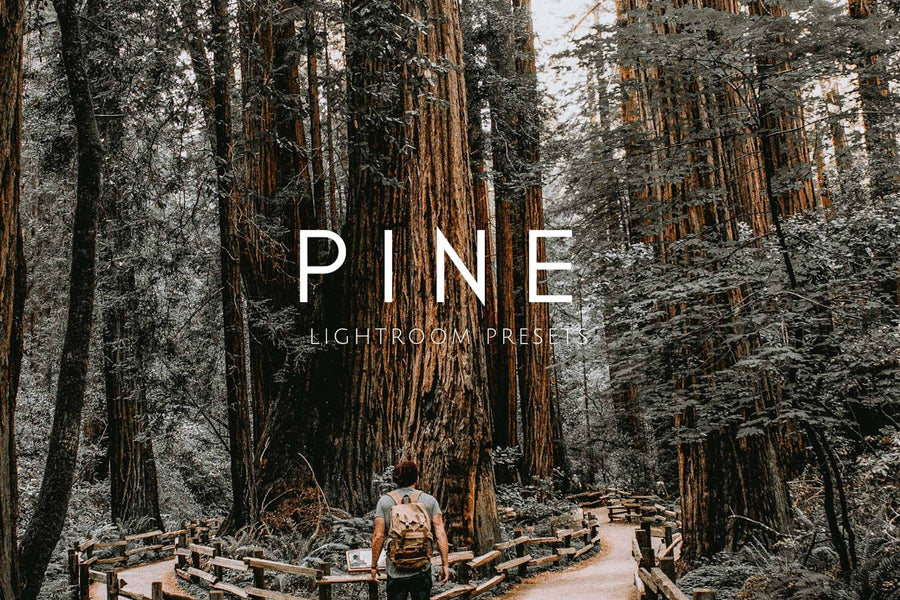 PINE Warm Moody Lightroom Presets