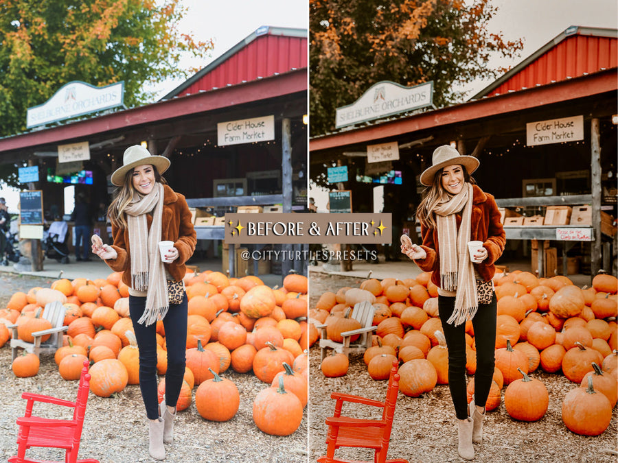 Rustic Fall Moody Warm Outdoor Lightroom Presets