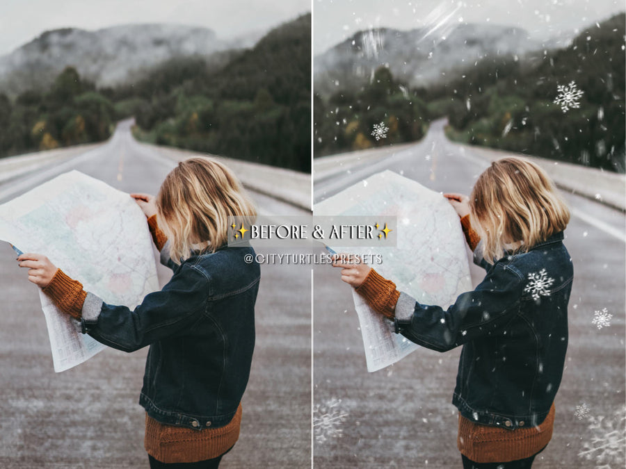 30 Natural Falling Snowflakes Winter Photo Overlays