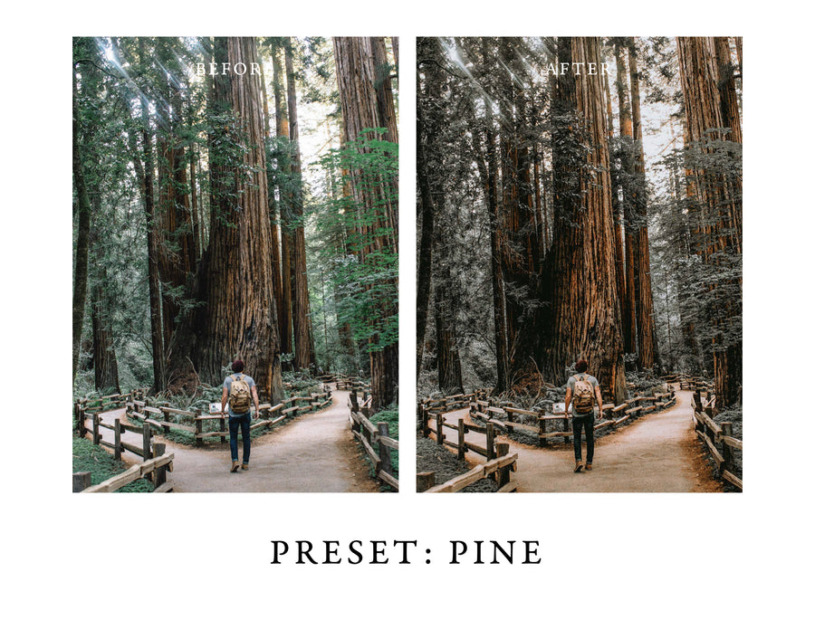 Warm and Moody Lightroom Presets Pack 2