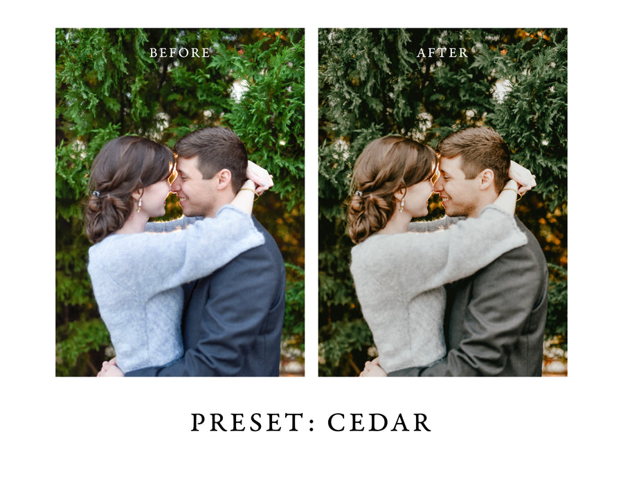 Warm and Moody Lightroom Presets Pack 2