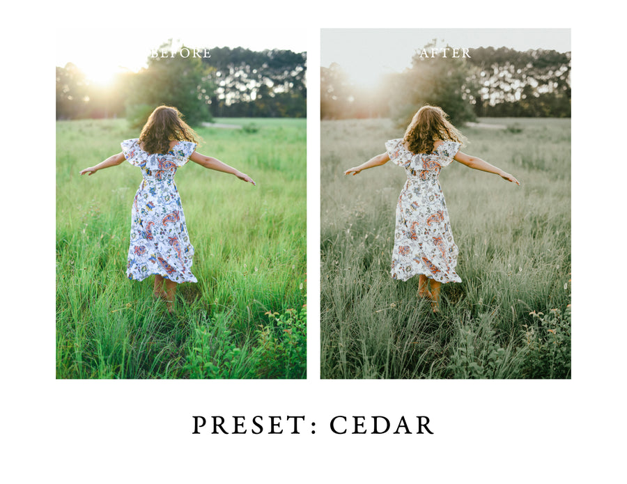 Warm and Moody Lightroom Presets Pack 2