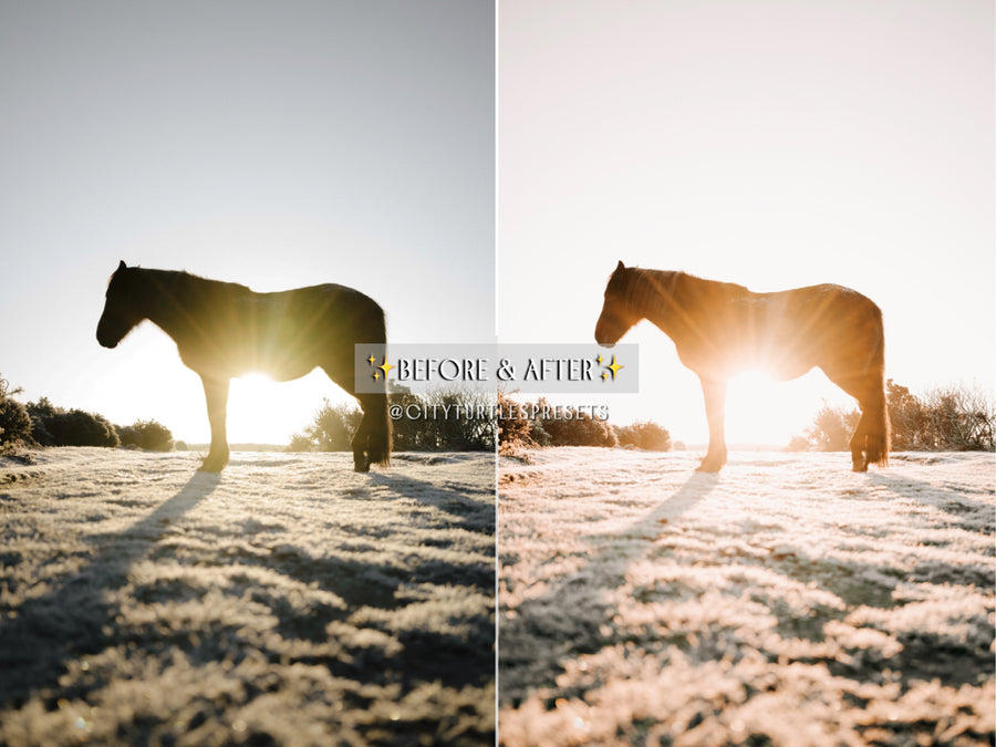 Bright Natural WINTER MAGIC Lightroom Presets