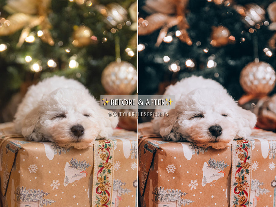 Winter Mood Holiday Lightroom Presets